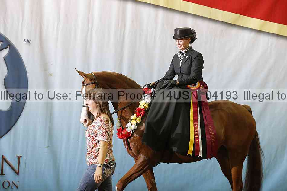 Proof 14usn_04193