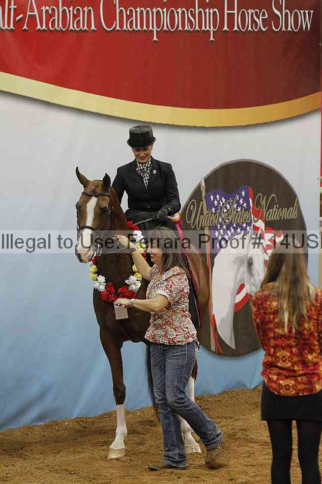 Proof 14usn_04195