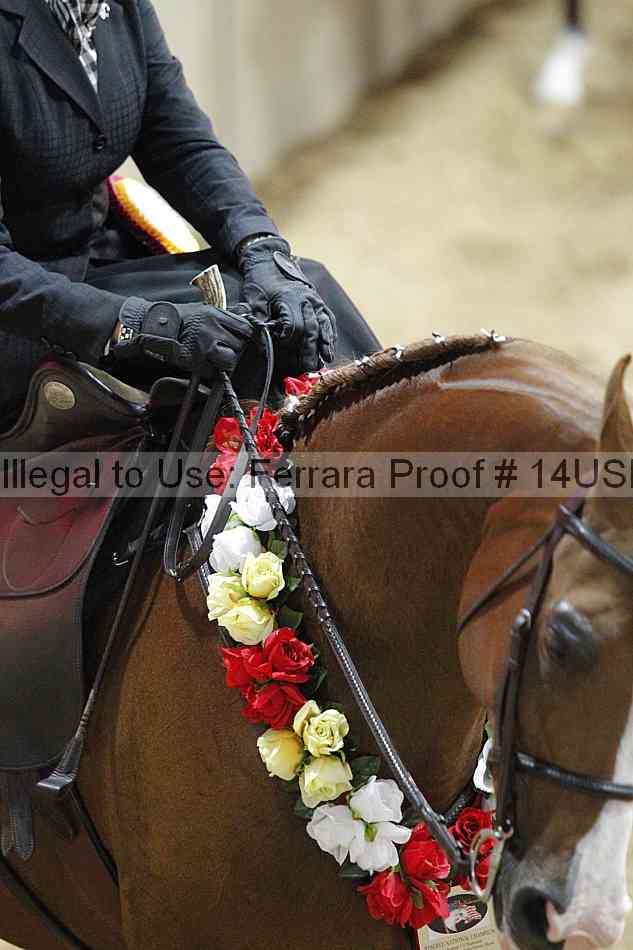 Proof 14usn_04205
