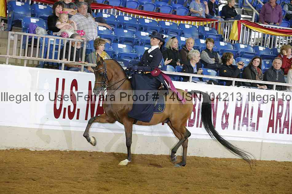 Proof 14usn_04213
