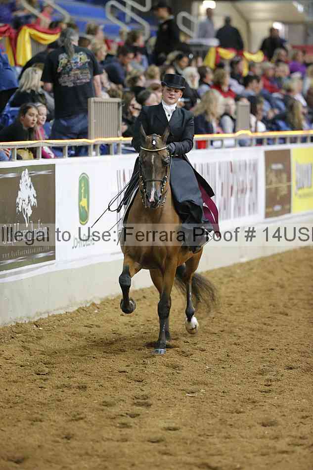 Proof 14usn_04215