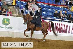 14usn_04225 proof