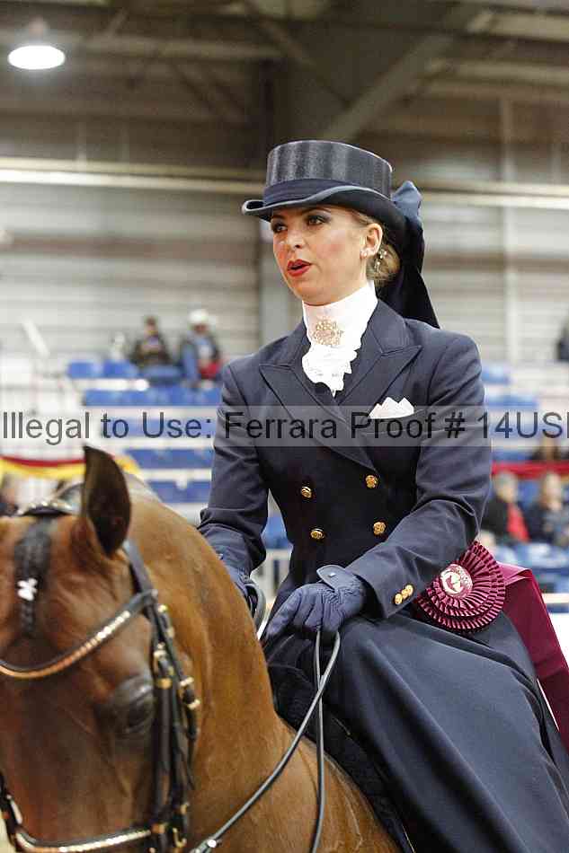 Proof 14usn_04226