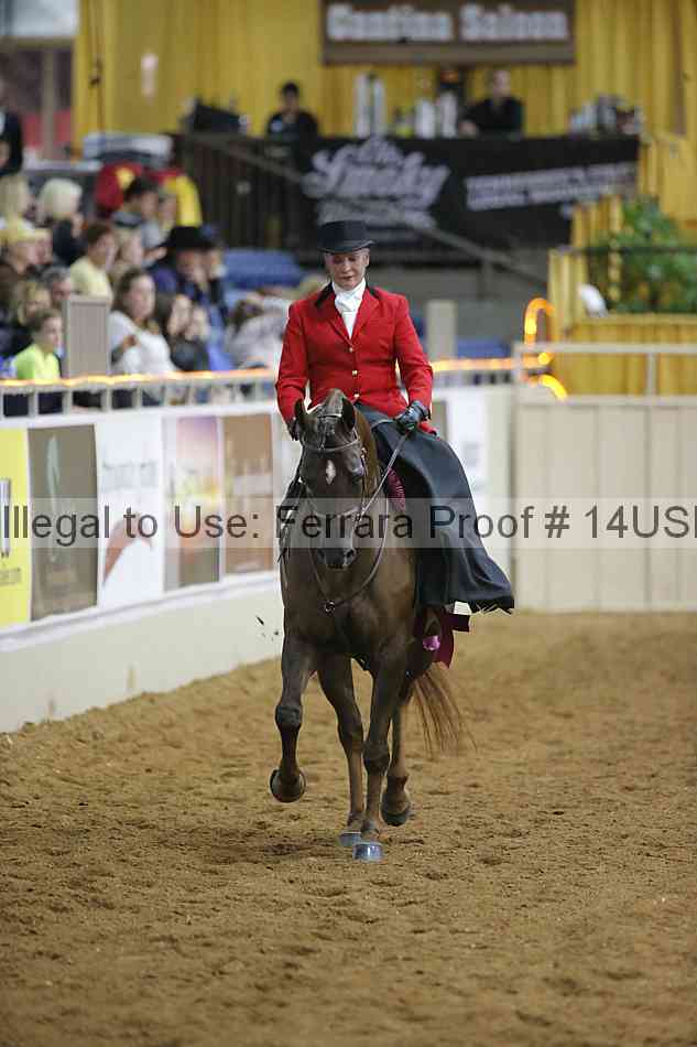 Proof 14usn_04227