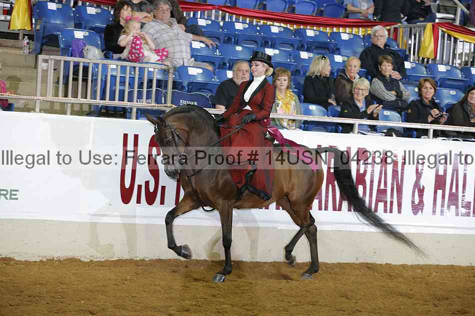 Proof 14usn_04238
