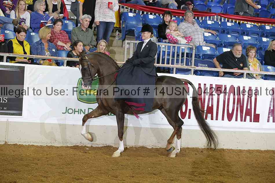 Proof 14usn_04254