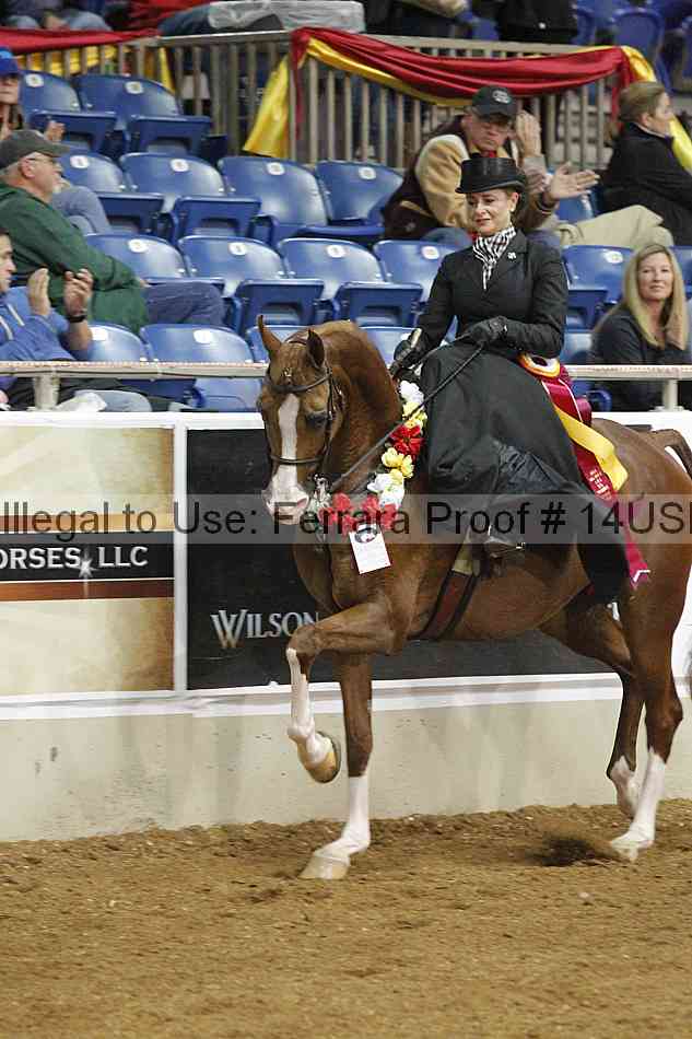 Proof 14usn_04266