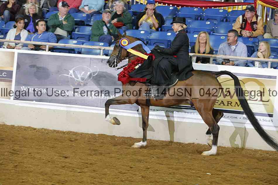 Proof 14usn_04275