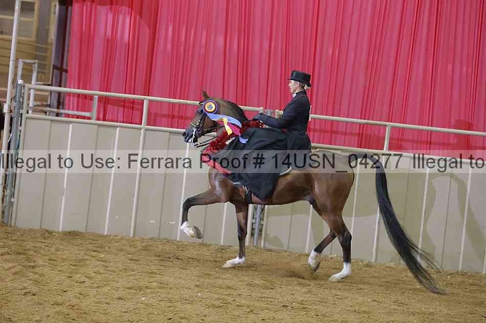 Proof 14usn_04277