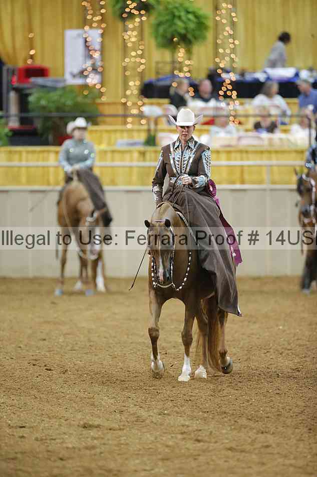 Proof 14usn_01897