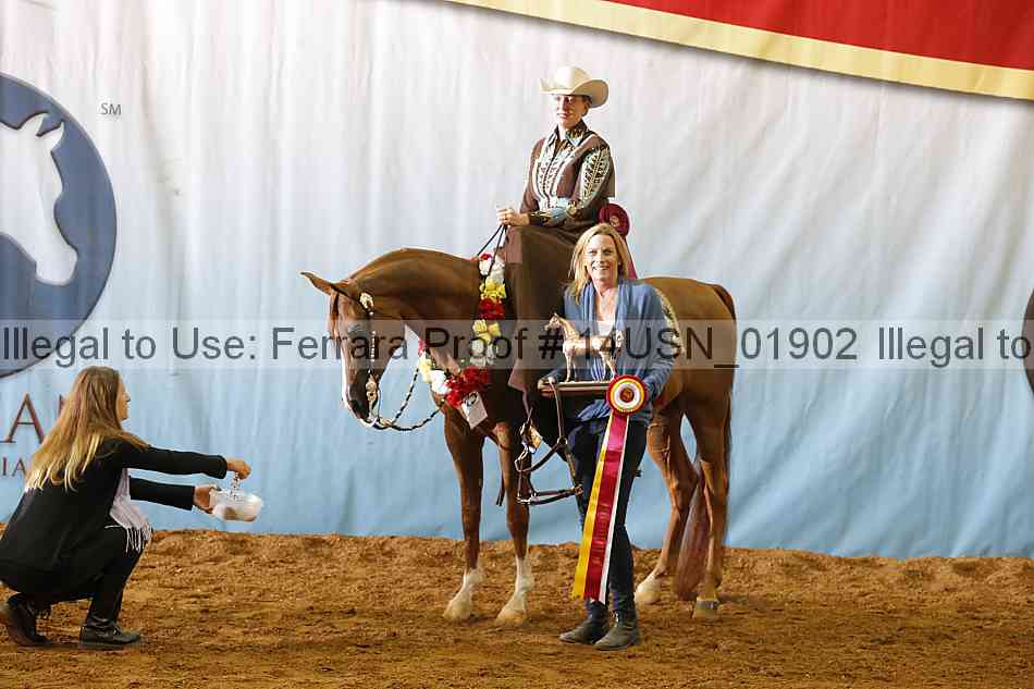 Proof 14usn_01902
