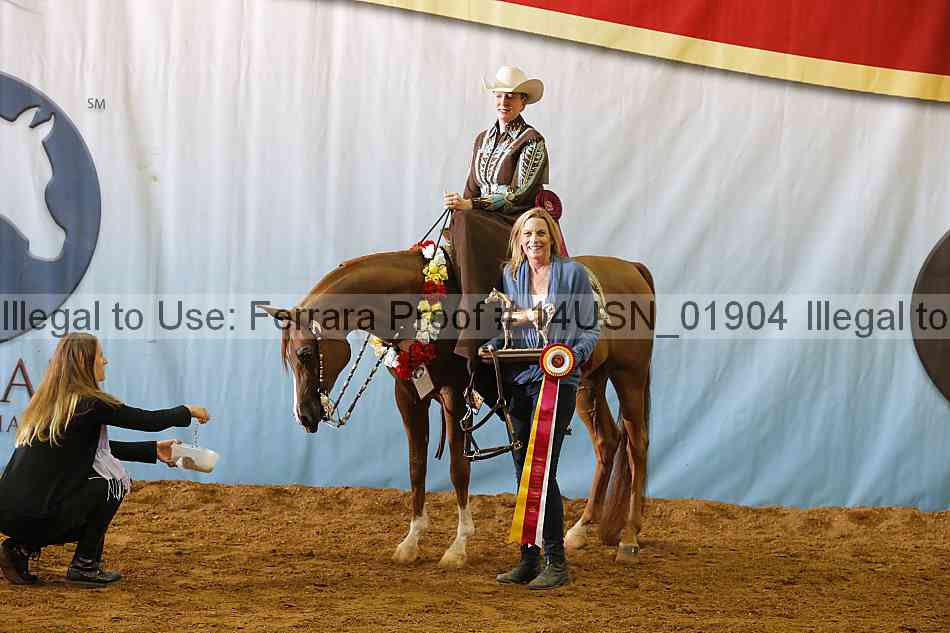 Proof 14usn_01904