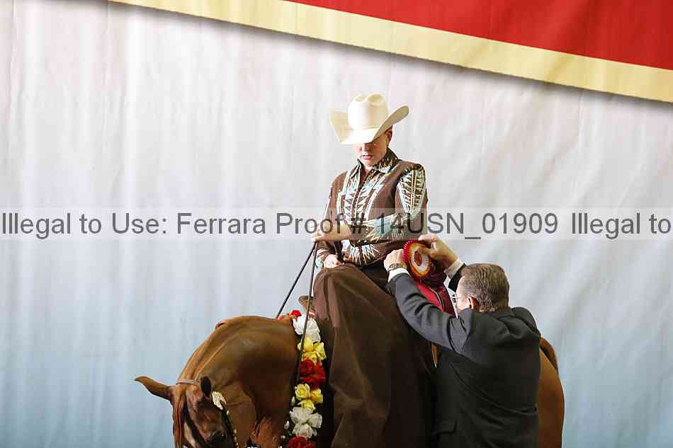 Proof 14usn_01909