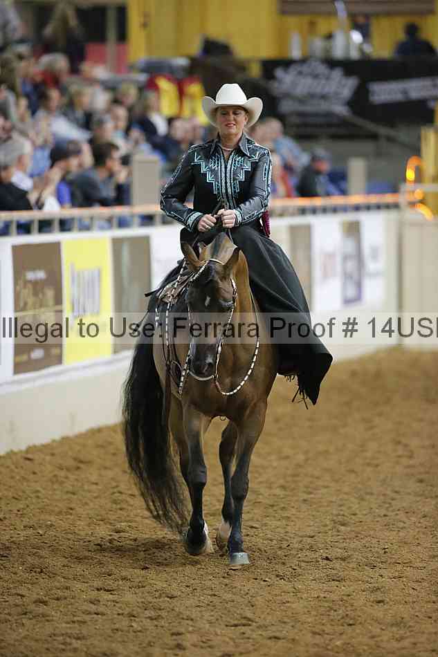 Proof 14usn_01955