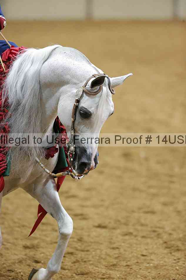Proof 14usn_01977