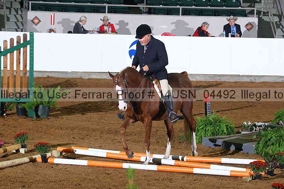 Proof 14usn_04492