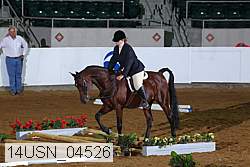 14usn_04526 proof