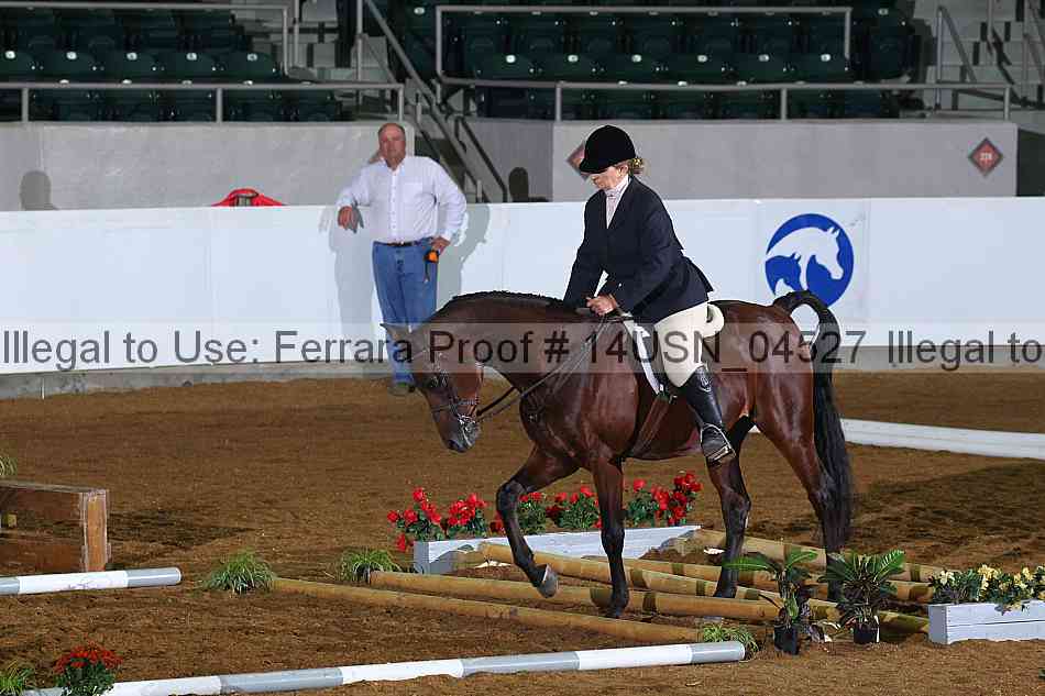 Proof 14usn_04527