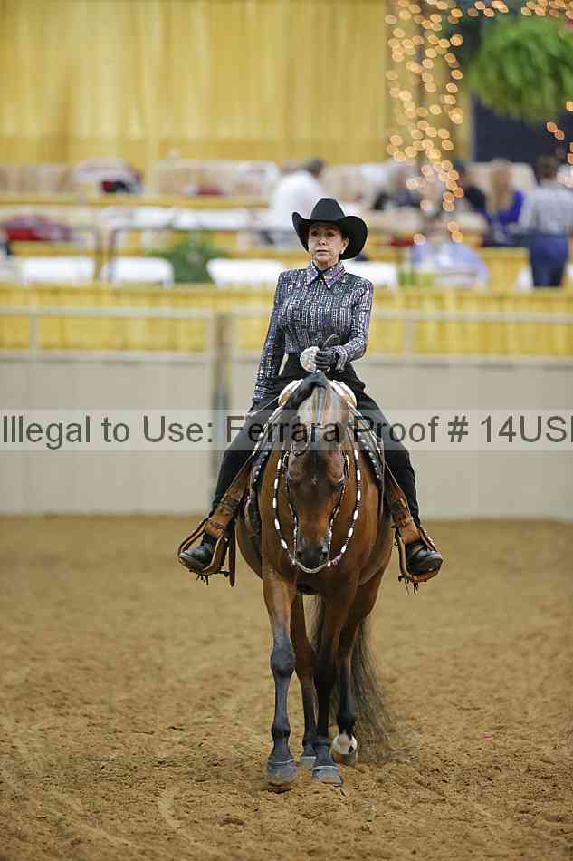 Proof 14usn_13006