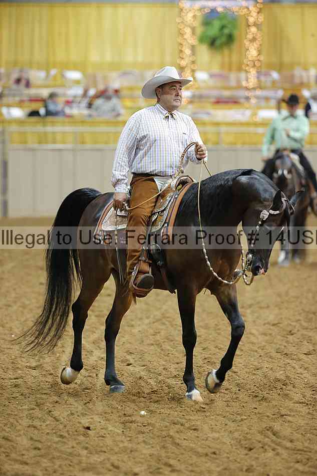 Proof 14usn_13010