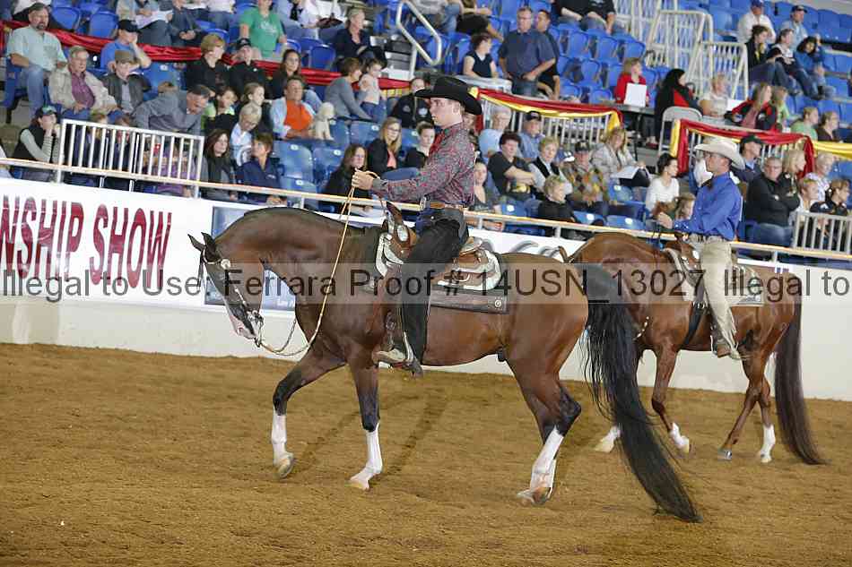 Proof 14usn_13027