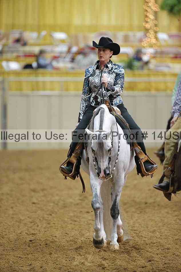 Proof 14usn_13036