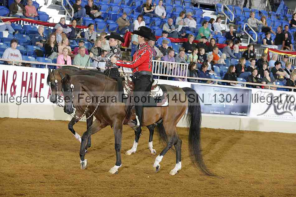 Proof 14usn_13041