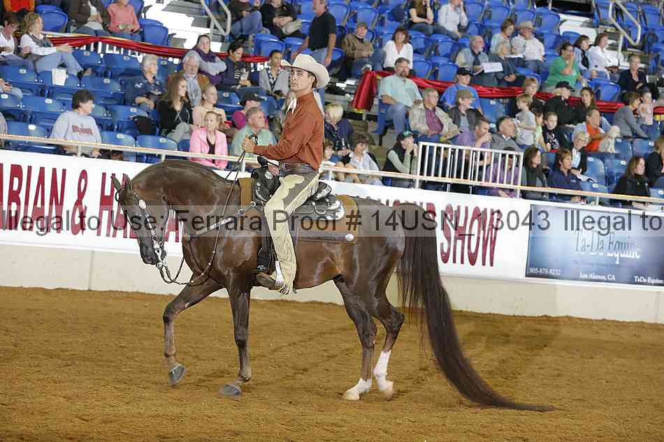 Proof 14usn_13043