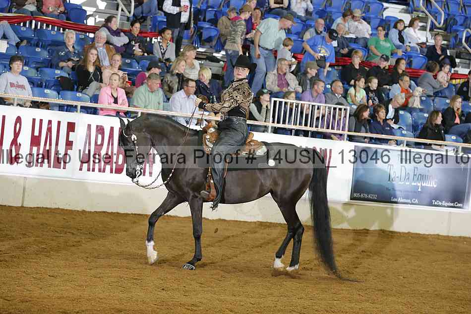 Proof 14usn_13046