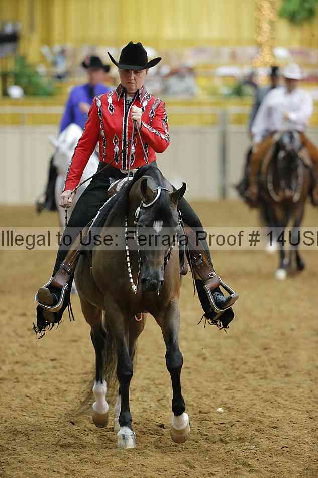 Proof 14usn_13053