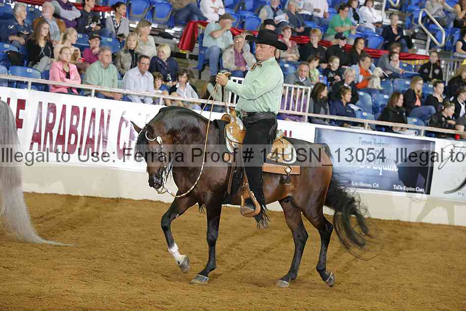 Proof 14usn_13054