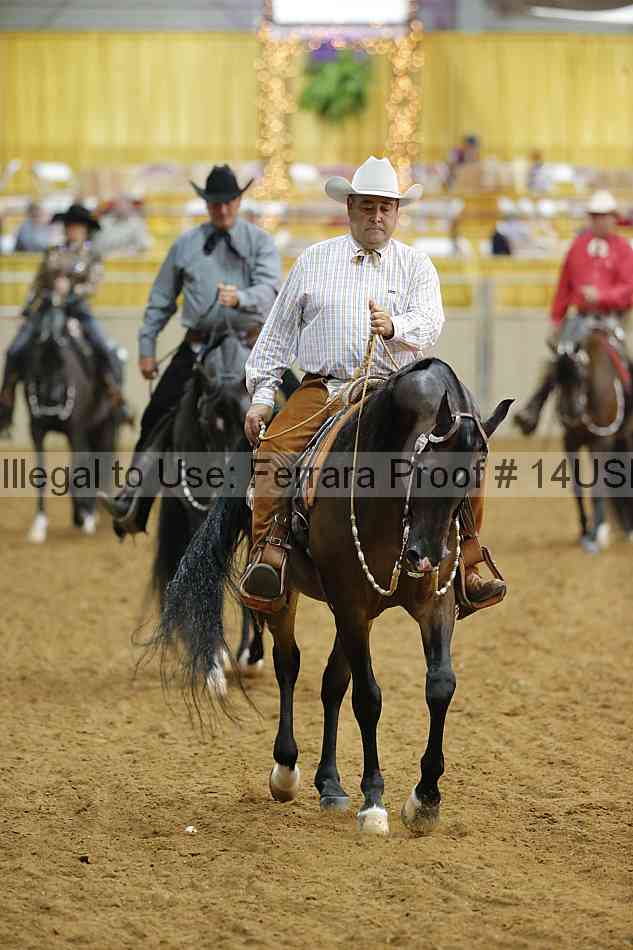 Proof 14usn_13058
