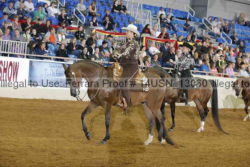 Proof 14usn_13060