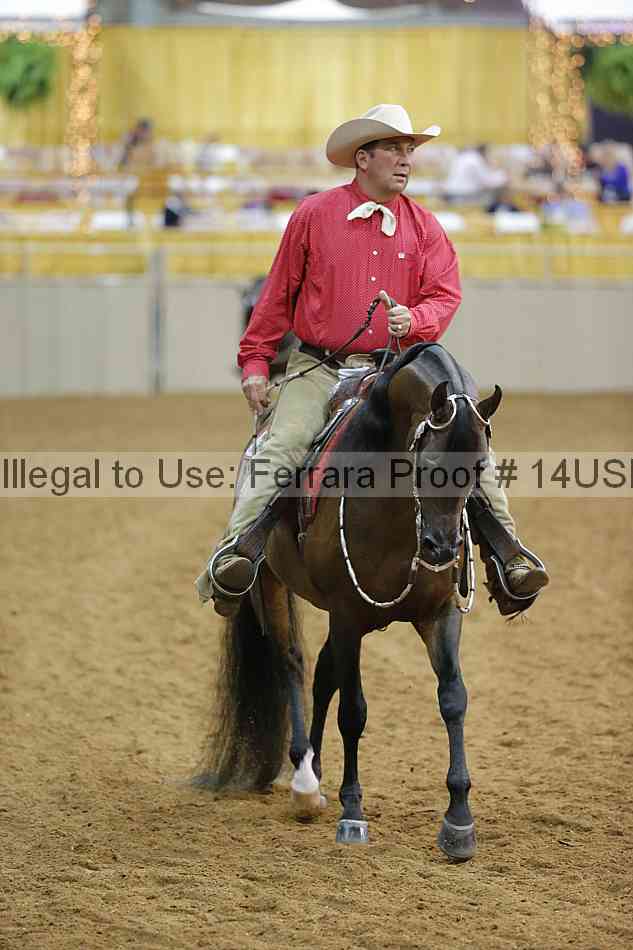 Proof 14usn_13061