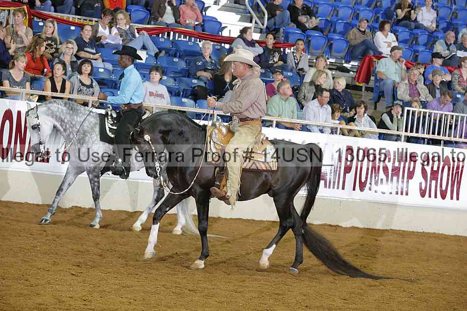 Proof 14usn_13065