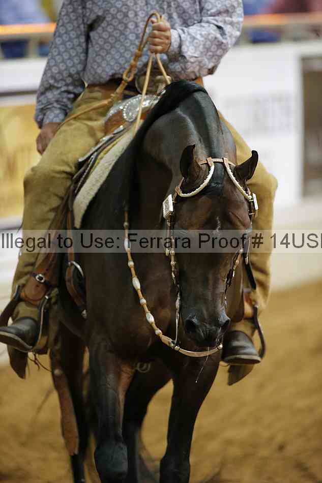 Proof 14usn_13066