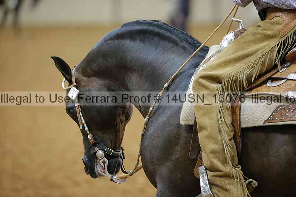 Proof 14usn_13076