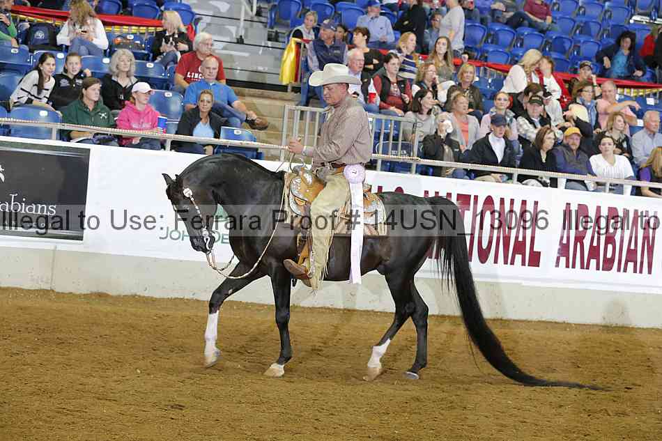 Proof 14usn_13096