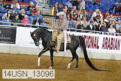 14usn_13096 proof