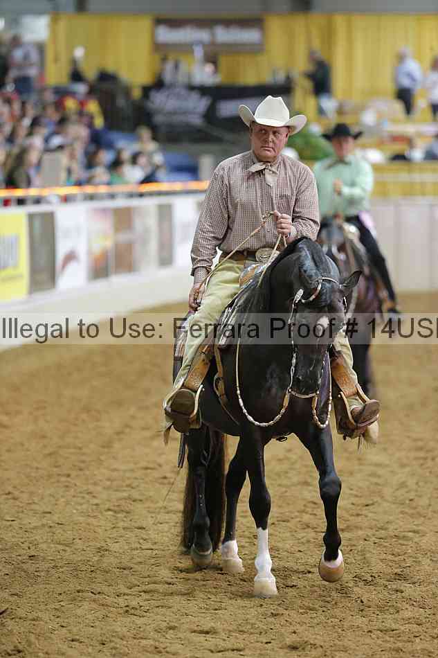 Proof 14usn_13097