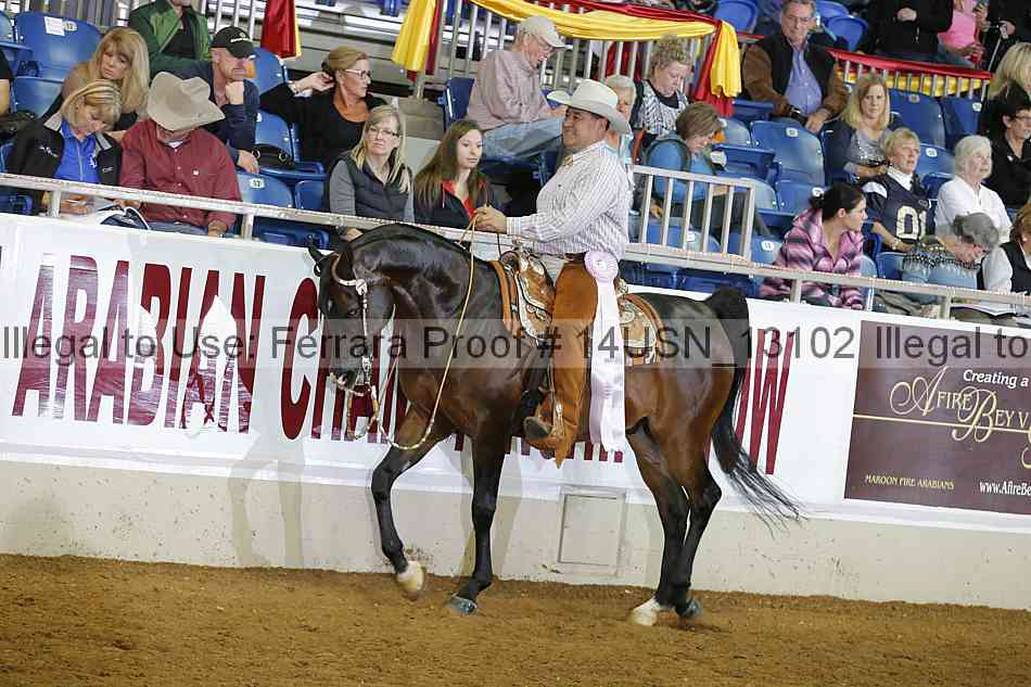 Proof 14usn_13102