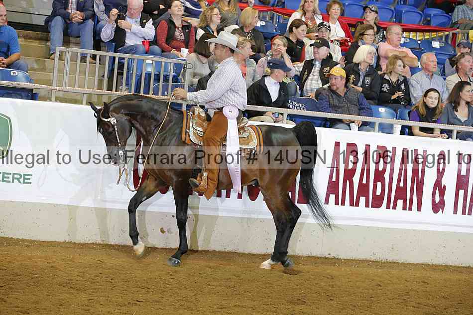 Proof 14usn_13106