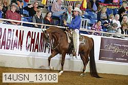 14usn_13108 proof