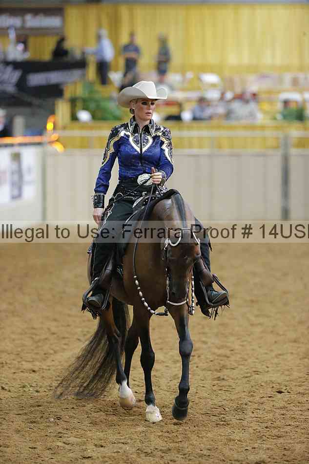 Proof 14usn_13144