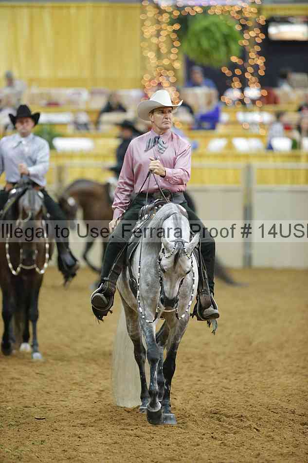 Proof 14usn_13157