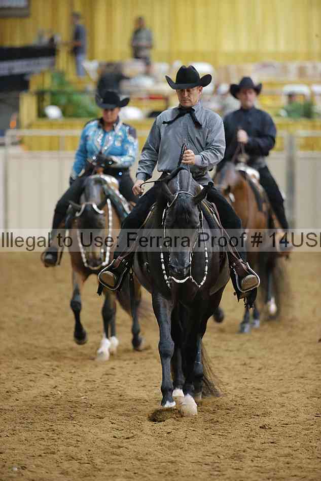 Proof 14usn_13162