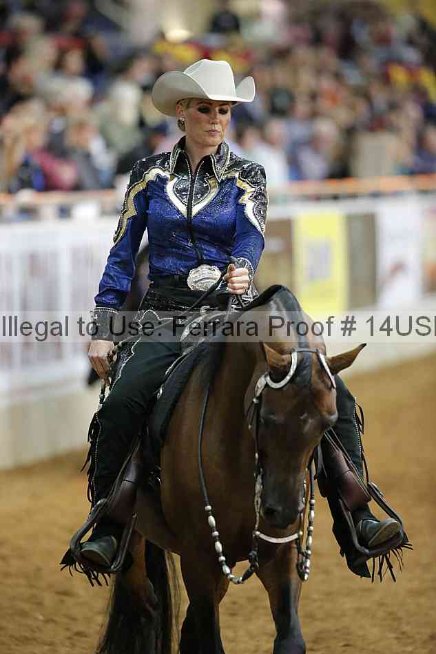 Proof 14usn_13171