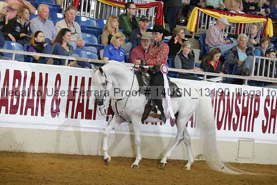 Proof 14usn_13190