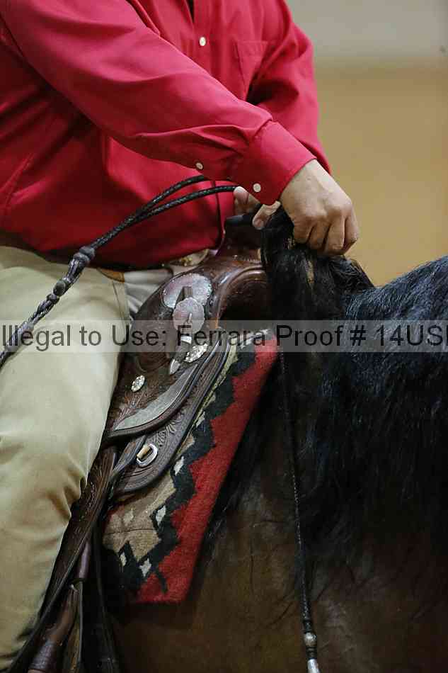 Proof 14usn_13218