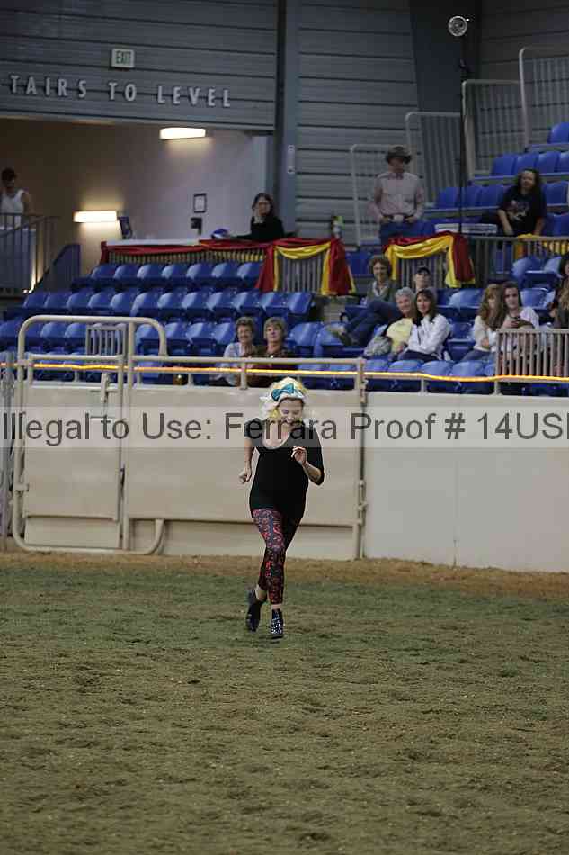 Proof 14usn_40513